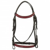 Bridle & Halter